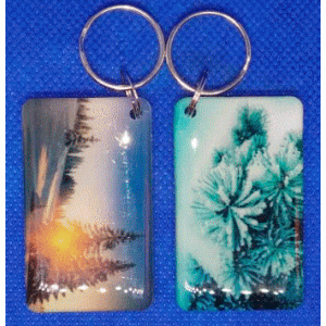 Epoxy-заготовка T5577  50*30 mm (15) ЗИМНИЙ ПЕЙЗАЖ
