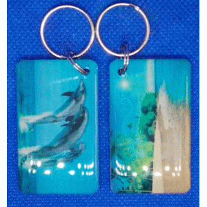  Epoxy-заготовка T5577  50*30 mm (36) ДЕЛЬФІНИ