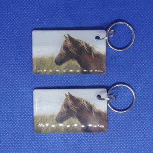 Epoxy-заготовка T5577 Animals(10) Лошадка