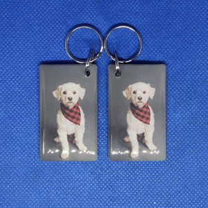 Epoxy-заготовка T5577 Animals(3) СОБАКА с платком