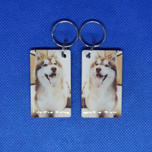 Epoxy-заготовка T5577 Animals(4) СОБАКА МАЛАМУТ