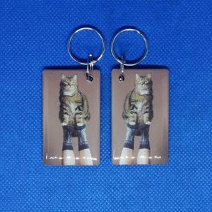 Epoxy-заготовка T5577 Animals(5) КОТ НА НОСКАХ