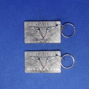 Epoxy-заготовка T5577 Animals(8) КОТ Пушистый
