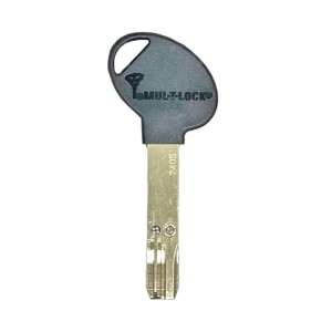 Оригинал Mul-T-Lock 240s
