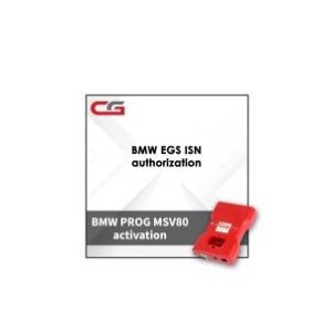 Активация BMW EGS ISN для программатора CGDI Prog BMW MSV80 Key Programmer