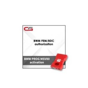 Активация BWM FEM/BDC для программатора CGDI Prog BMW MSV80 Key Programmer
