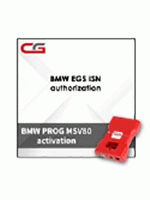 Активация BMW EGS ISN для программатора CGDI Prog BMW MSV80 Key Programmer