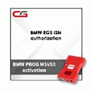 Активация BMW EGS ISN для программатора CGDI Prog BMW MSV80 Key Programmer
