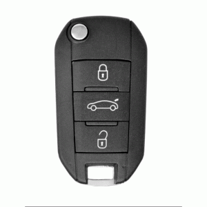 Универсальный пульт с платой (XEPG00EN trunk Citroen) CIT-1 / VA2 3 but trunk