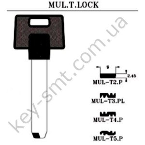 MULT4P /JMA/