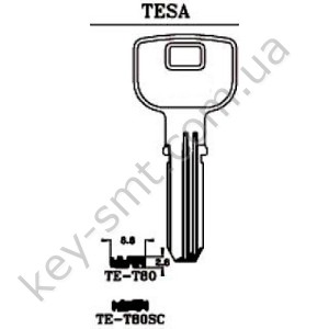 TET80 /JMA/
