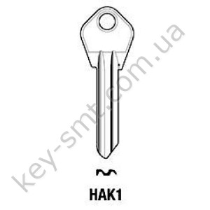 HAK1 /Silca/