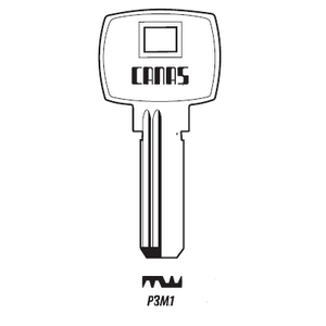 P3M1 /Canas/
