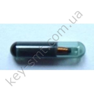 CHIP ID-11