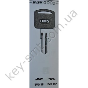 EVG1P /Canas/