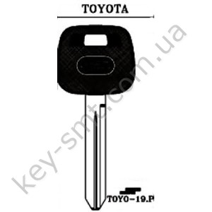 TOYO19P /JMA/