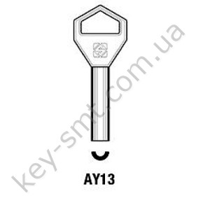 AY13 /Silca/