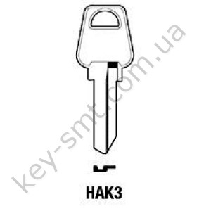HAK3 /JMA/