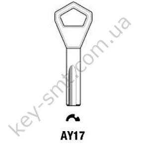 AY17 /Silca/