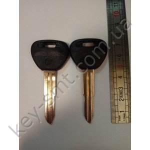 MIT7ACP /Canas/