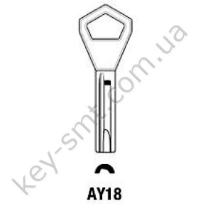 AY18 /Silca/