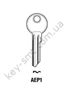 AEP1 /Silca/