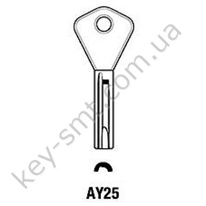 AY25 /Silca/