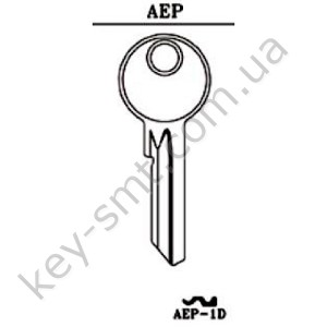 AEP1D /JMA/
