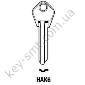 HAK6 /Silca/
