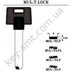 MULT2P   /JMA/