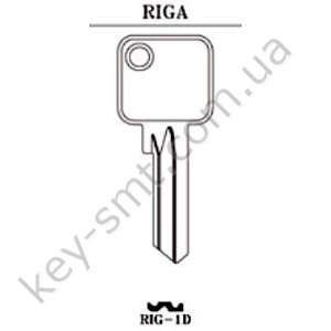 RIG1D /JMA/
