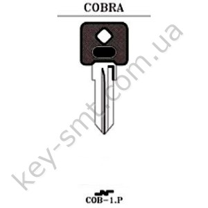 COB1P /JMA/