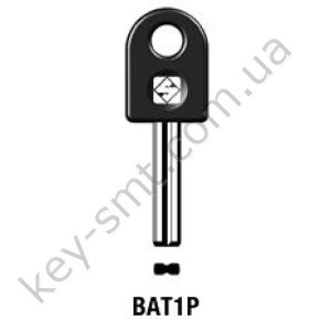 BAT1P/Silca/