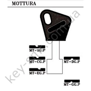 MTCGP /JMA/