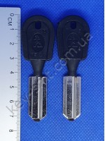 Forte (32mm)