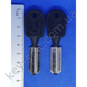 Forte (32mm)