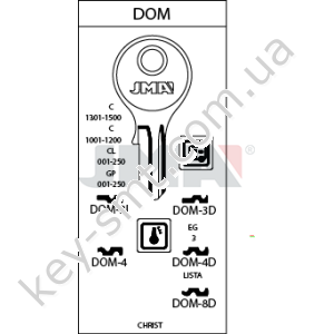 DOM4D /JMA/