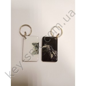  Epoxy-заготІвка T5577 2020 №9 КОТИК