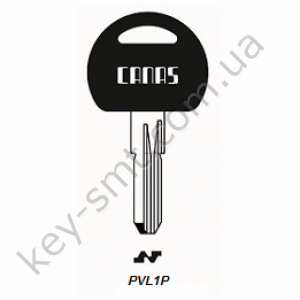 PVL1P /Canas/