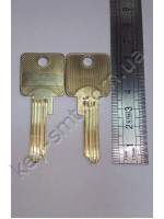 ELA /Exspress/