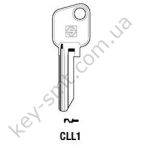 CLL1 /Silca/