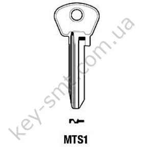 MTS1 /Silca/