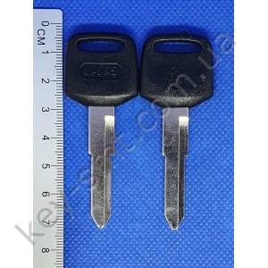 HON21SAP /Canas/