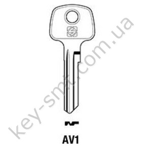 AV1 /Silca/