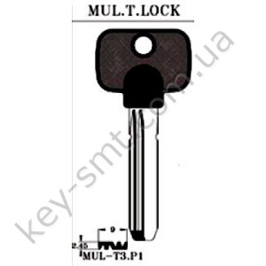 MULT3P1 /JMA/_Bear Lock