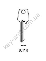 BLT1R /Silca/