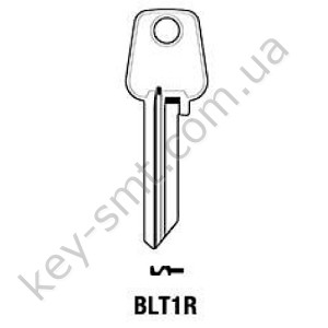 BLT1R /Silca/